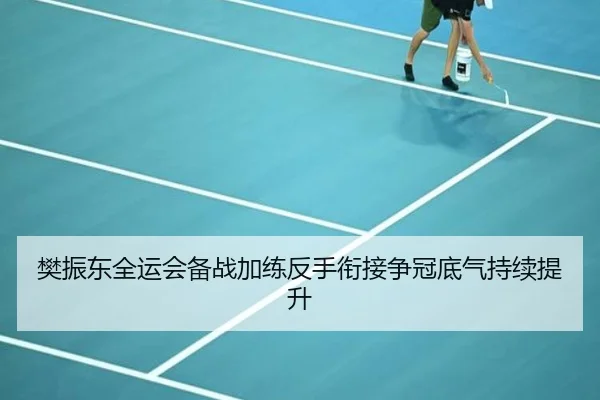 樊振东全运会备战加练反手衔接争冠底气持续提升