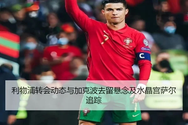 利物浦转会动态与加克波去留悬念及水晶宫萨尔追踪